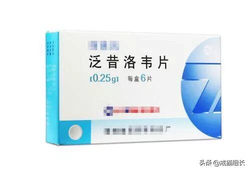 猫鼻支的早期症状,猫咪得了猫鼻支，该怎么办？