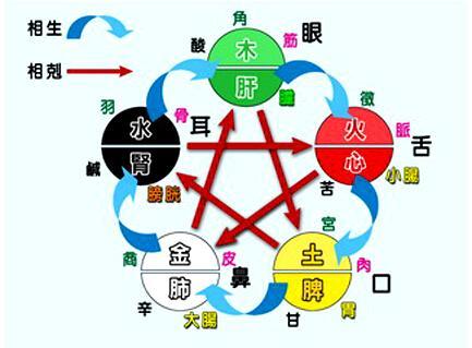 七情六欲指哪七情和哪六欲
