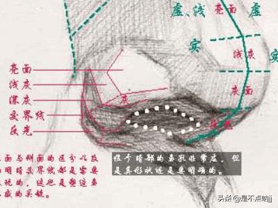 鼻子怎么画,素描入门教程：怎样画好鼻子？