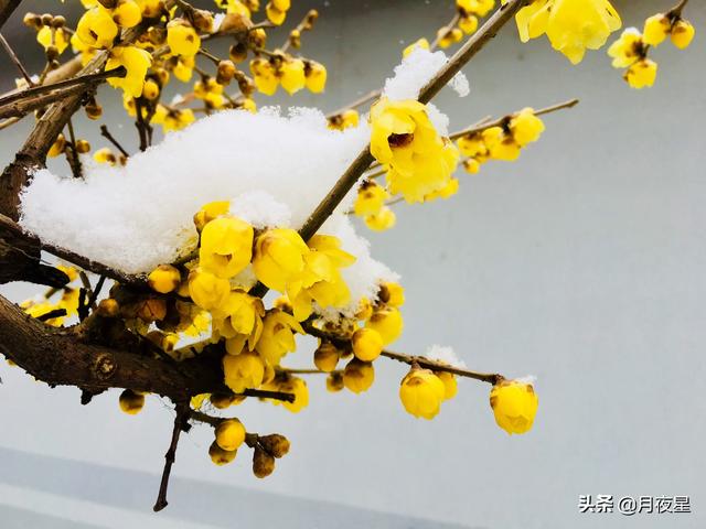 欧阳娜娜摄影师:喜欢摄影的人越来越多了，为什么能出好片的人极少？