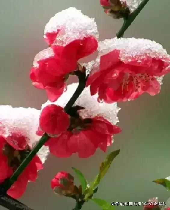 一眼看中的房子是有缘吗,你有没有看一眼就爱上的文物？