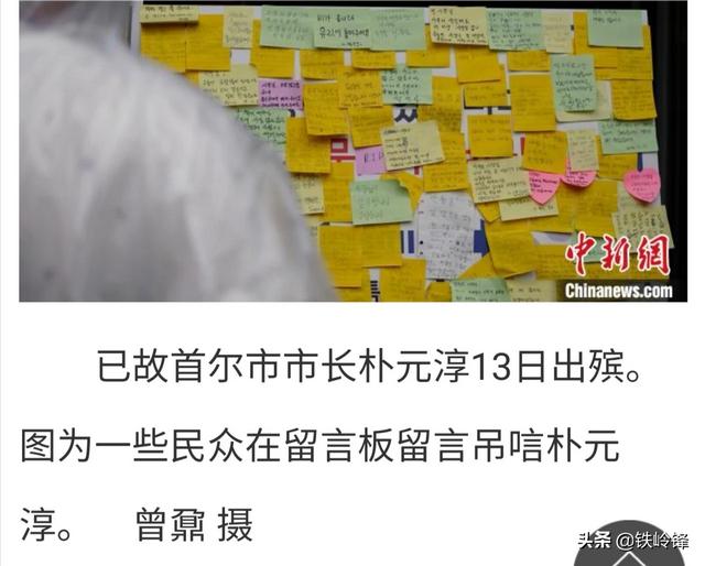介助犬的遗言高清:如果犬大将不死，犬夜叉杀生丸，他们生活会什么样？