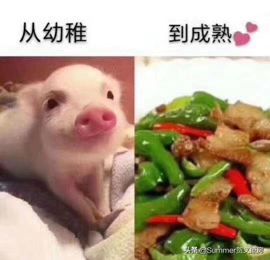 1一33高楼层选最佳楼层,一共33层买哪层最好？不考虑价格？