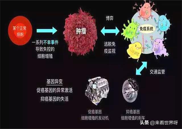 头条问答 - 癌细胞是正常细胞变异产生的,那为什么癌细胞不能变回正常