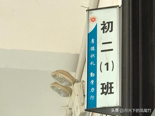 小学、初中、高中、大学各个阶段的老师,谁最辛苦,谁最轻松？