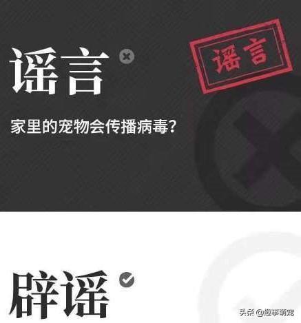 盆景猫 谣言:95或96年的哈尔滨猫脸老太太事件是真是假？