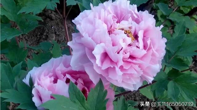 小萝卜头纪念馆:期货投资者想找个安静的地方来交易生活，中国那个省县城好啊？