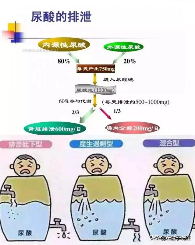 车前草对痛风有什么用？