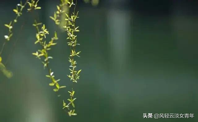 能否说一下和亲戚很疏远是什么感觉？