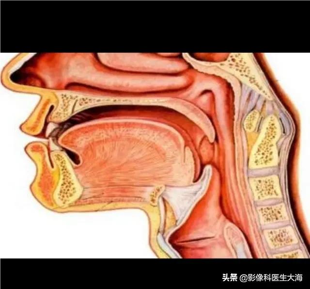 头条问答 最近偶尔感觉咽喉有异物感 但不影响呼吸进食 不痛不痒 是什么原因 17个回答