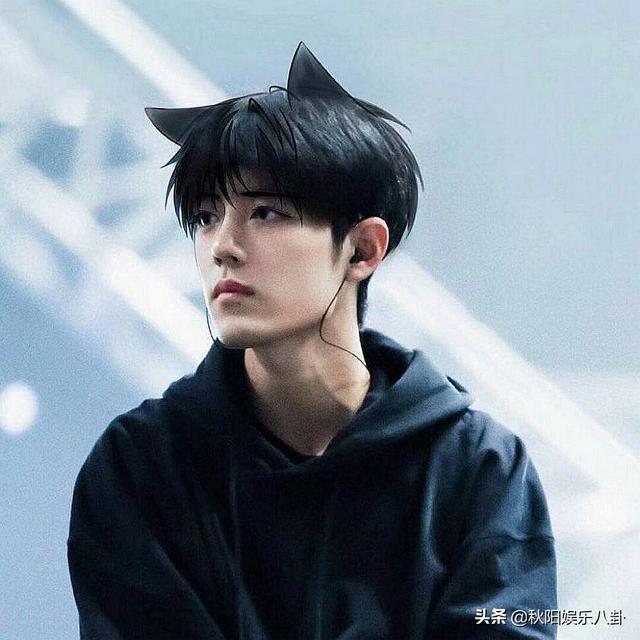 博狗 娱乐官网欢迎您:肖战为什么这么受大家欢迎？