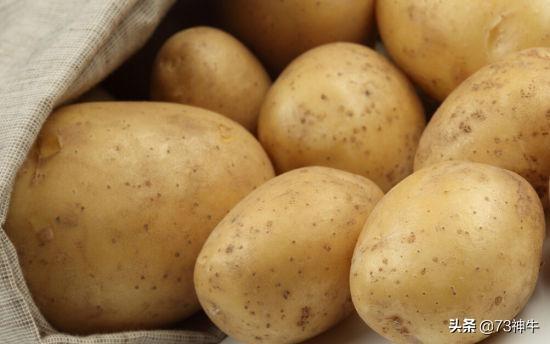 市面上的土豆越来越大，究竟和膨大剂有没有关系？你会吃吗？插图23