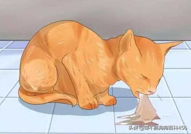 猫 心丝虫 检测:猫心丝虫检测 猫咪身上有虫，会有什么表现？