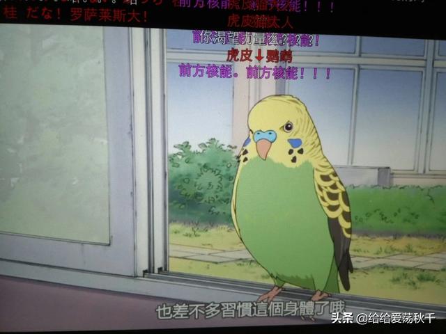 能否推荐几本好看的灵异小说,道士类的最好？