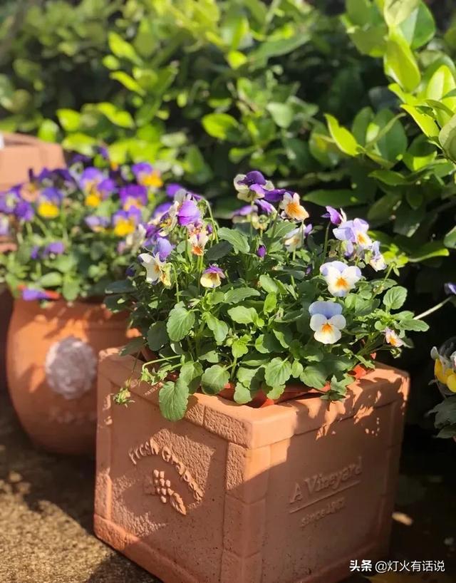 家住别墅是什么样的感觉？插图84