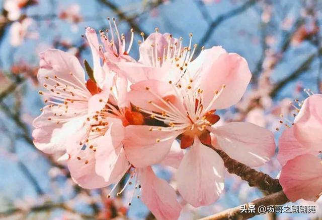 一天发几篇文章会不会有什么不好的影响？