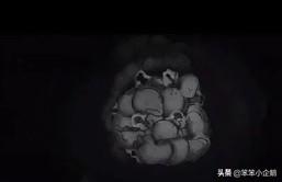 台湾未解之谜节目叫什么名字，《隐蔽的角落》片头的动画暗喻着什么