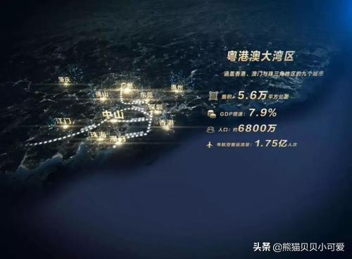 大湾区是什么意思:过去的一年用几个关键词来描述大湾区楼市，分别是什么？