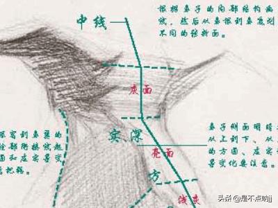 鼻子怎么画,素描入门教程：怎样画好鼻子？