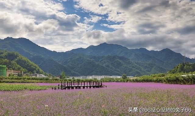 漢中市旅遊_陝西漢中有什麼好玩的景點五一想去