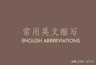 ts什么意思网络上ts是什么意思一个网友说他是ts