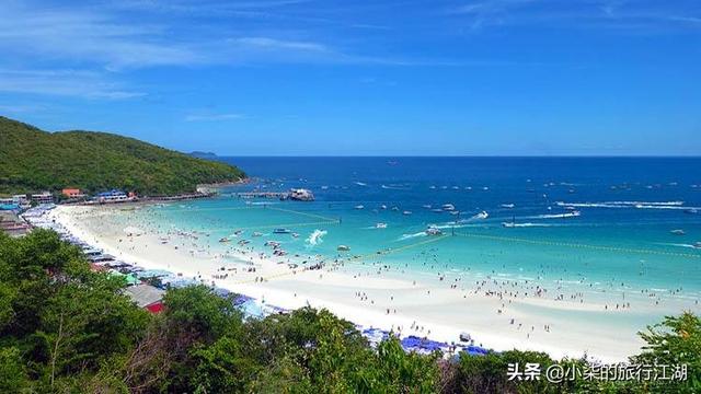 落花洞女灵异事件?:《青囊尸衣》是一部什么样的小说？艺术水准如何？