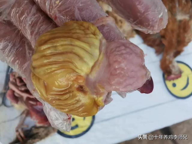 济南东大宠物兔养殖场:我的肉鸡养殖场，今年划入禁煤区了，有什么成本低的取暖方式吗？