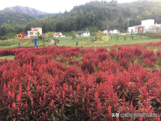 头条搞笑领域在搜集短视频素材时应该怎么做？