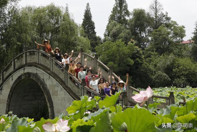 顾晴菲小时照片:张柏芝点赞王菲照片，她们两个人关系不错么？