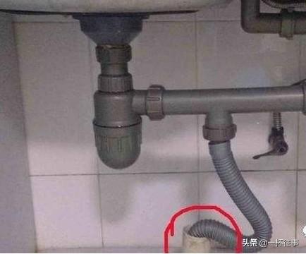 蟑螂繁殖速度有多快:蟑螂在食物链中吗？它可以无限繁殖吗？有没有管用的灭蟑螂方法？