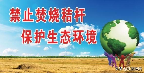 创业英雄汇主持人是谁，创业英雄汇被投资的公司还有几家盈利的