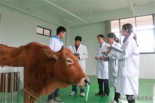 宠物养护专业分析:大专:畜牧工程，水产养殖，动物医学。哪一个专业前景更好？