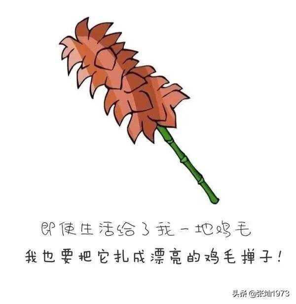 既然人总归会入土,那么活着有什么意义？为什么还要努力？