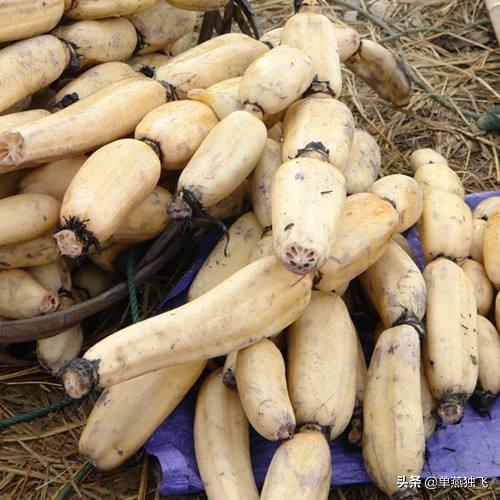 农安实验动物用品经销部:在自己家乡种植的农产品，有什么好办法推广出去？
