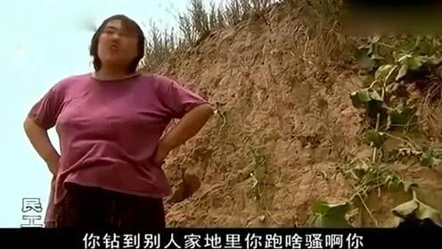 沧州疑现仙女虾:“人在做，天在看”现实中有这样的故事发生吗？