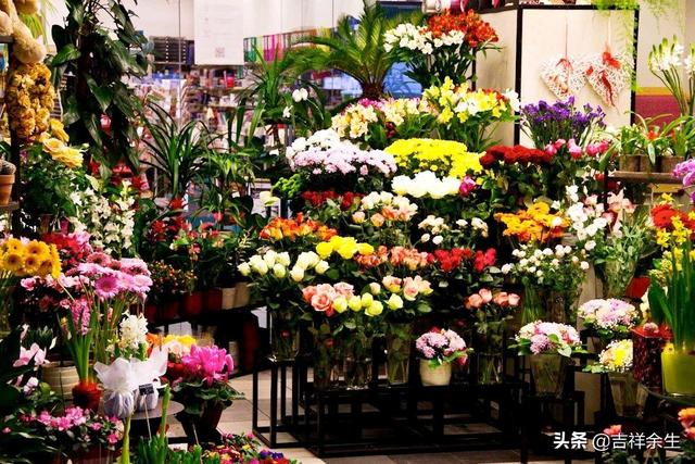 头条问答 想回家开个花店 有好的建议吗 吉祥余声的回答 0赞