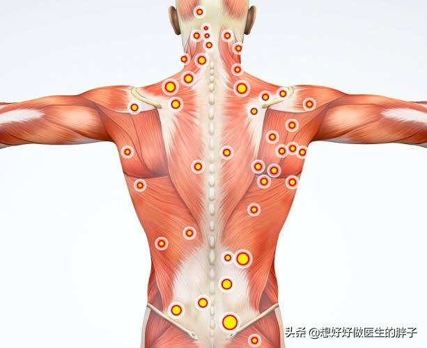 脊柱扭的地方有按压式的疼痛：脊柱扭了一下有刺痛