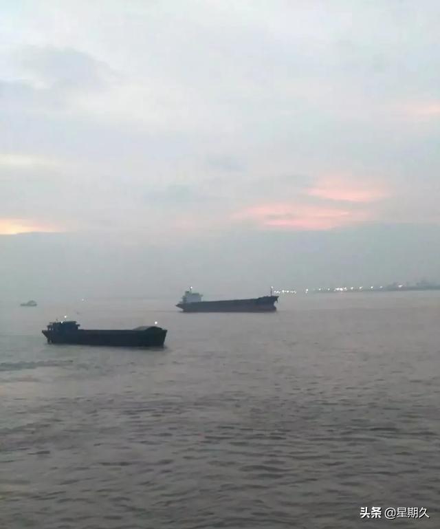 深海喂食者攻略:如何分辨鲫鱼是不是野生的呢？