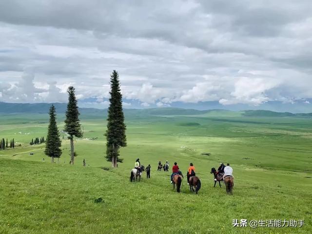 刘怡君近况:史上堪称最烧脑的悬疑剧有哪些