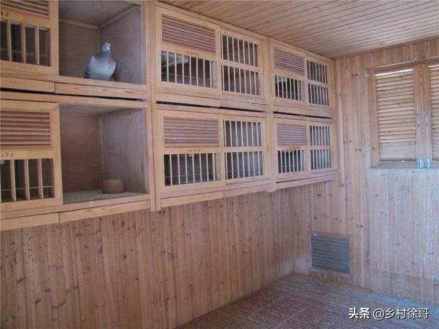 鱼缸上边能放鸟笼子吗:一条金鱼和一条鲫鱼放一个鱼缸里，时间久了会杂交吗？