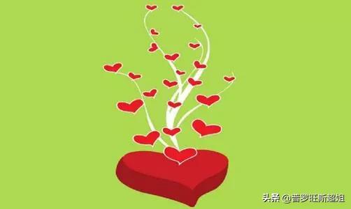 太过善良是一场灾难吗？
