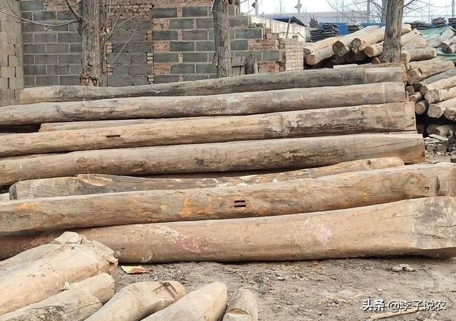 民国古宅灵异事件:历史上吊死崇祯皇帝“歪脖子树”，现如今还在原地吗？