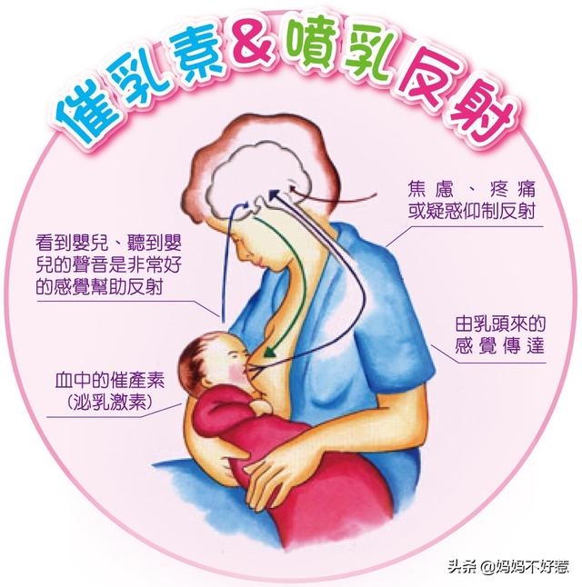 婴儿喂养知识:刚出生的宝宝该怎么喂养？