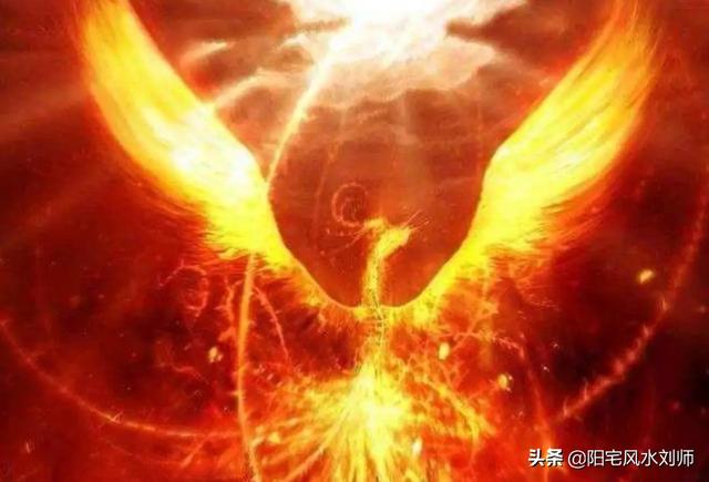2020年接下来,什么行业最火？