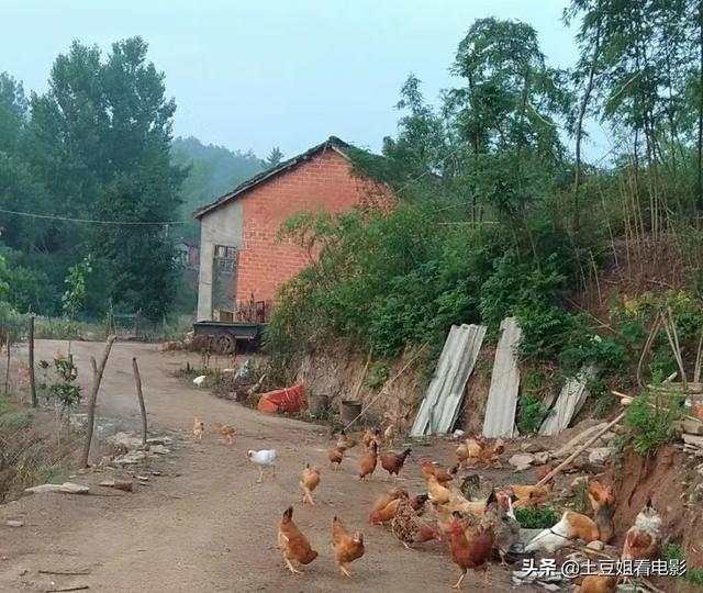陈丽华前夫:你们身边有没有与来女士和许先生相似的家庭背景，他们过得怎样