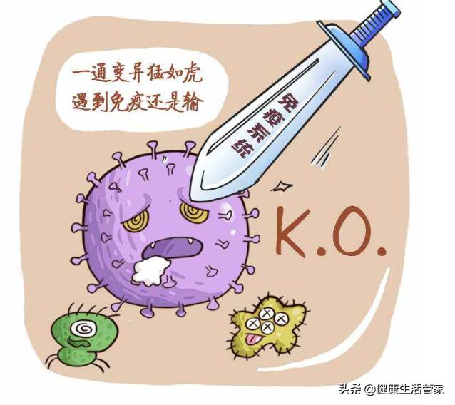 染上新型冠状病毒几天会死:新冠病毒感染后抗体究竟能维持多久？