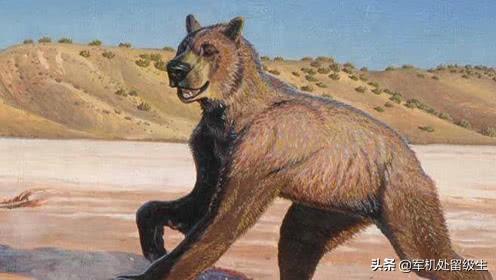 十大灭绝的可怕古生物，史前人类时期存在的可怕动物有哪些