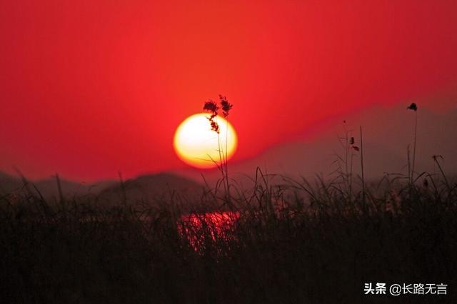 王维所作的《使至塞上》,是如何描写大漠夕照下的壮美？