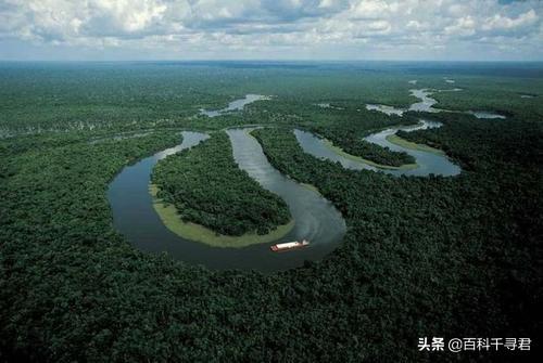 世界森林双倍扩大会怎样，如果亚马逊雨林消失了会怎样