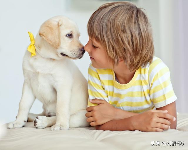 我的男友和狗:面对男友和爱犬，你们会怎么选择？